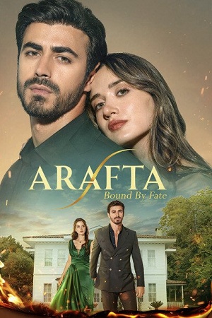 Арафта 1 Сезон 28 серия
